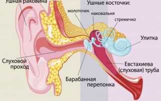 Почему нельзя сморкаться в раковину