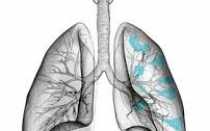 Значение показателей объёма лёгких для диагностики болезней