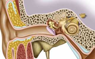 Причины заложенности уха у ребёнка