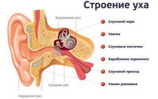 Подробно о процедуре шунтирования барабанной перепонки