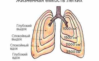 Для чего измеряют жизненную ёмкость лёгких