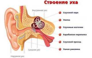 Использование борной кислоты при лечении ушных заболеваний у взрослых