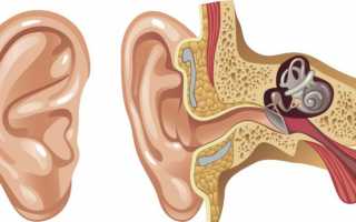 Заложило уши: как правильно бороться с нарушением слуха при простуде