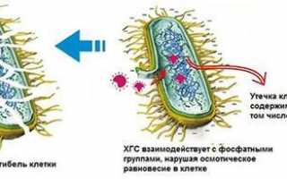 Показания для промывания носа Хлоргексидином при насморке и гайморите